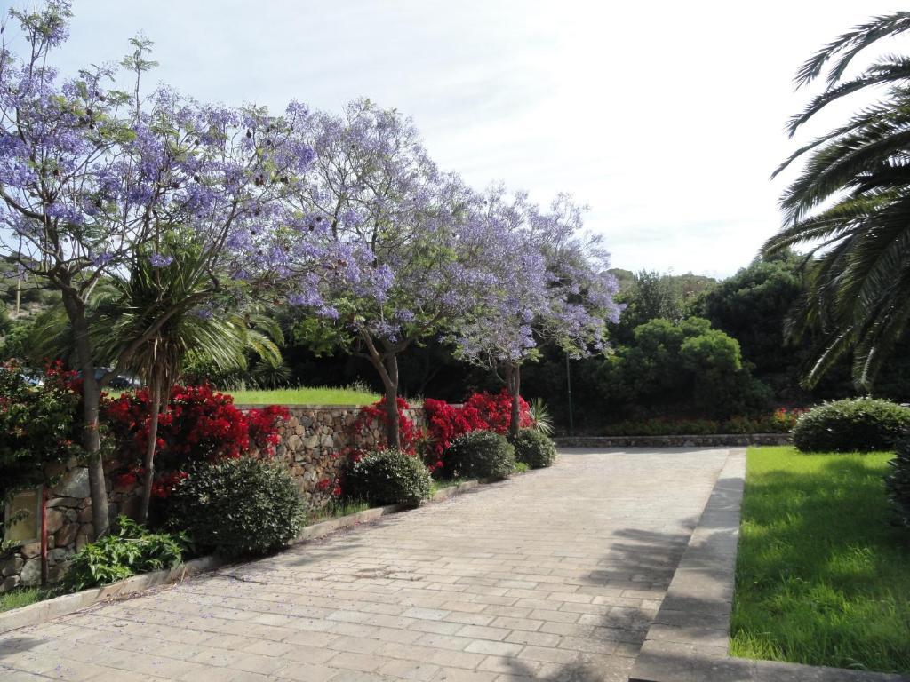Aparthotel Baia Delle Ginestre Teulada Zimmer foto